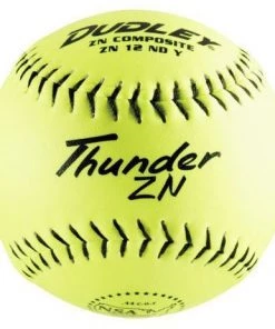 Outlet 🎉 Dudley 21" Thunder ZN NSA Trophy/Souvenir Softball: 43223 ⭐