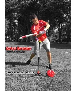 Best deal 💯 PowerNet 2" Micro Weighted Hitting and Batting Training Ball (6 Pack): 1065 🔥 -BaseBallBat Official Shop 910vZWdoheL. SL1500